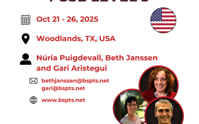 Rigo Concept PSSE Level 3: Oct 21-26, 2025 Woodlands, TX, USA